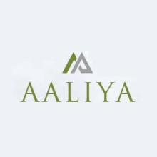 Aaliya Noor Bldg & Const Material Trading LLC