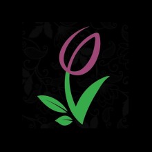 Garden Tulip Flowers - Al Thannyah First