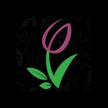 Garden Tulip Flowers -  Al Worood