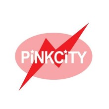 Pink City Group Of Companies