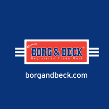 Borg and Beck Automotive Trading LLC
