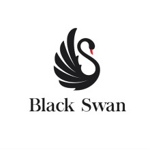Black Swan Business Set Up Services