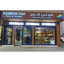 Rainbow Fish Pool And Trading