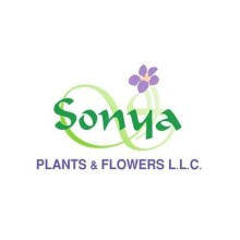 Sonya Plants & Flowers