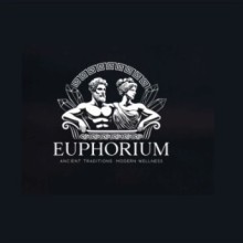 Euphorium Ice Bath & Sauna