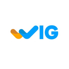 WIG Visa Services